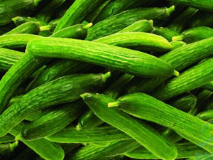 8�ִ����Ŷ���Ʒ ����ı���������