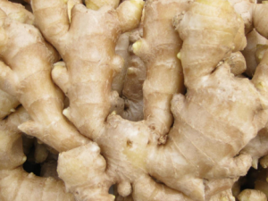 �＾�Խ����ϻ� �����˲��˳Խ�