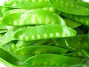 ���������ļ����Ľ������ ���������ļ��������ݹ�Ч��