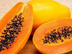 �����ľ�ϻ���Ӫ���� ľ�ϵ�Ӫ����Ч