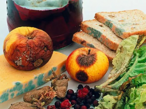 ��Щ��ʳϰ�߲���ȡ ������ù���ʳ������ЩΣ��