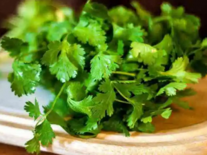 �������������Щ�ô� �������ЩӪ����ֵ