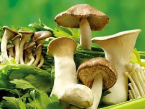 ʳ�þ�����Щ�ô� ������ʳ�þ����ܳ�