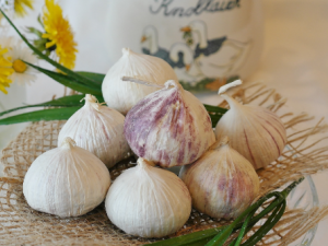 ʳ�﷢ѿ���Գ��� ��Щʳ�﷢ѿ���ܳ�