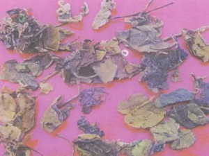 ��Ƿ�Ĺ�Ч ��Ƿ����μ��Է�ʪ�Թؽ���