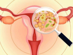 �ѳ���Ӧ������� �ѳ���������ԭ��