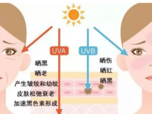 ��ɹ��Ӧ������ȼ��� ɹ���������޸�����