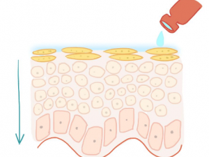 ������Щ���ض����˺���ļ���