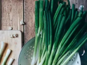 ��е�Ӫ����Ч �Դ�еĺô�