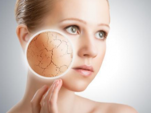 Ƥ���׳�����λ��� Ƥ��������ʲô����Ʒ