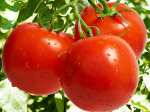 ���������ܺ���Щҩ���� ���������������������������