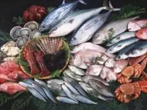 ���ŵ��е�ʳ���ܳ���