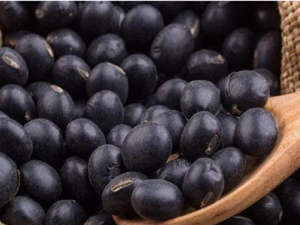 ���������Ƿ񾭳����� ��֪����ʲô���Ի�����