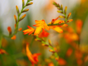 �������Ĺ�Ч ����������ʪ��ʹ