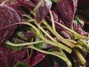 Ů�Բ�Ѫ��Ҫע��ʲô ��Ѫ���߲���֪������Щ��