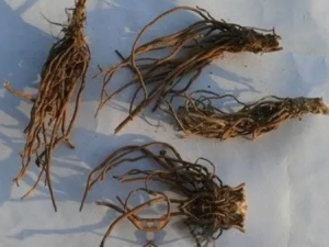 ���ݸ��Ĺ�Ч ���ݸ������˿ȴ�