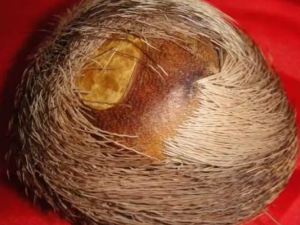 ����Ϊ��׳����Ч��ʳ���Ƽ� �Ժ�һ��Ҫע����