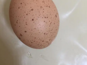 4�ַ�ùʳ���о綾 һ����Ҫ��