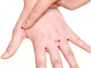 Ůʿ���հ�Ħ�Ĵ�Ѩλ Ů���������ݳ��õ��Ĵ�Ѩλ