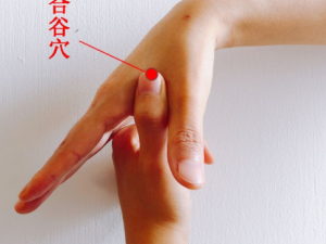 �����ҽ����ƫ���Ƽ� һ�����������ݰ�Ħ�ַ���