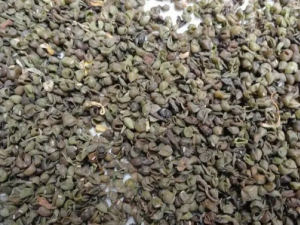 �̶��µĹ�Ч �̶��¿���Ŀ��