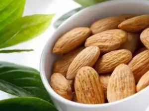 ���ʼӵ����ܳ�ȸ�� ��ҽ�����Ƽ�