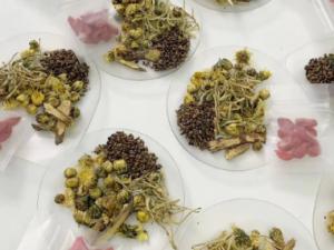 �ϰ���������� С���Ƽ������������������