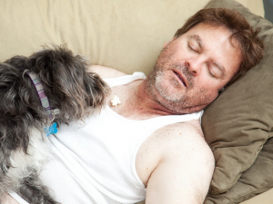 ������������Щ֢״ ��������ı���