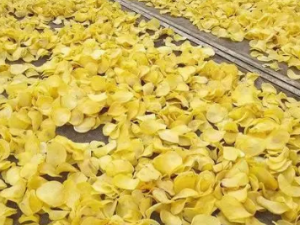 ������ʳ�����е����� ��ˮ�߲�Զ����Ƭ����