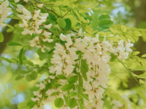 ���ϵ���ʳ����Щ һ����������Щ������ʳ������