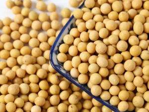 ������ЩӪ���ɷ� ���಻ͬ�ļӹ���ʽӪ��Ч����ͬ