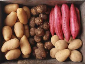 �����ʳ��������ʳ�� ʳ������ĵ�������