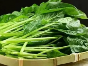 �����Ҷ�߲˿ɼ�����ฺ�� ����Ҷ�߲˵�11�ֽ����洦