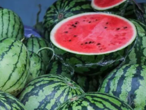 �ļ������ʲô ��Щʳ��ɰ��㽵��