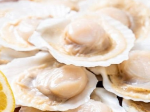 ��������ţ��ͬʳ���ж� ʳ�û�����Ҫע��������