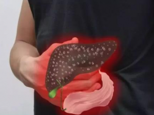 ���ƻ����͸��׵�9��Сƫ��