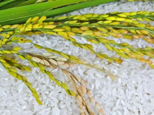 ��Щ����Ӱ�����ʳ��Ч�� ��ηֱ��°�����