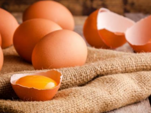 �����ѡ���ʼ��� ����Ǽ����׿Ǽ����ĸ�����Ӫ��