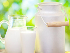 ţ�̺Ͷ���˭����Ӫ�� ��һ������Ӫ��