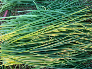 С�е�Ӫ����ֵ С�пɴٽ���������