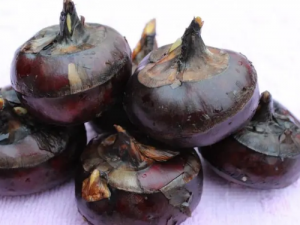 �����˲��ܳ�ʲô ���Ե���ʳ����