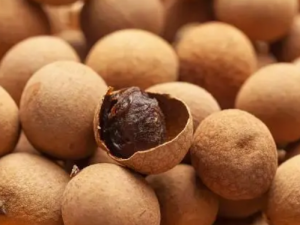 ��Բ��ʳ�ý��� ��Բ��Ӫ���Է�