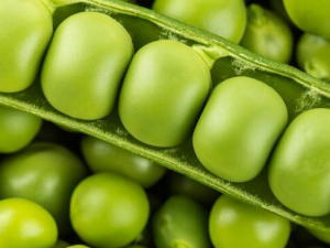 �붹��Ӫ���ɷ� ����㶹��ʲô�洦