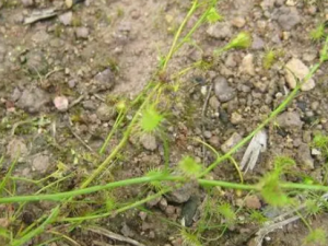 ��������Ĺ�Ч ���������������ʹ