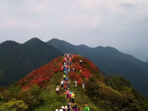 ͨ������Ĺ�Ч ͨ���������ܲ�