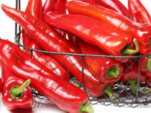 ����������Щԭ���µ� �������ʲô�ɽ���