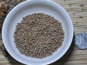 �ؽ�ʹ��ҽ���Ʒ��� �׽��������ιؽ�ʹ