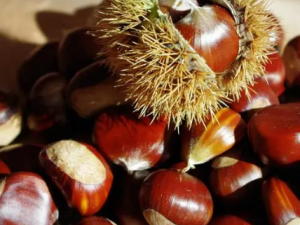 ������Ӫ����ֵ �������Բ�����