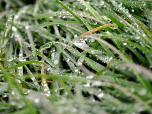 ˮ��ݵĹ�Ч ˮ�������п���