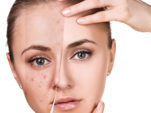 ���ϳ�ȸ������ô���� ���ϳ�ȸ�ߵ�ԭ��